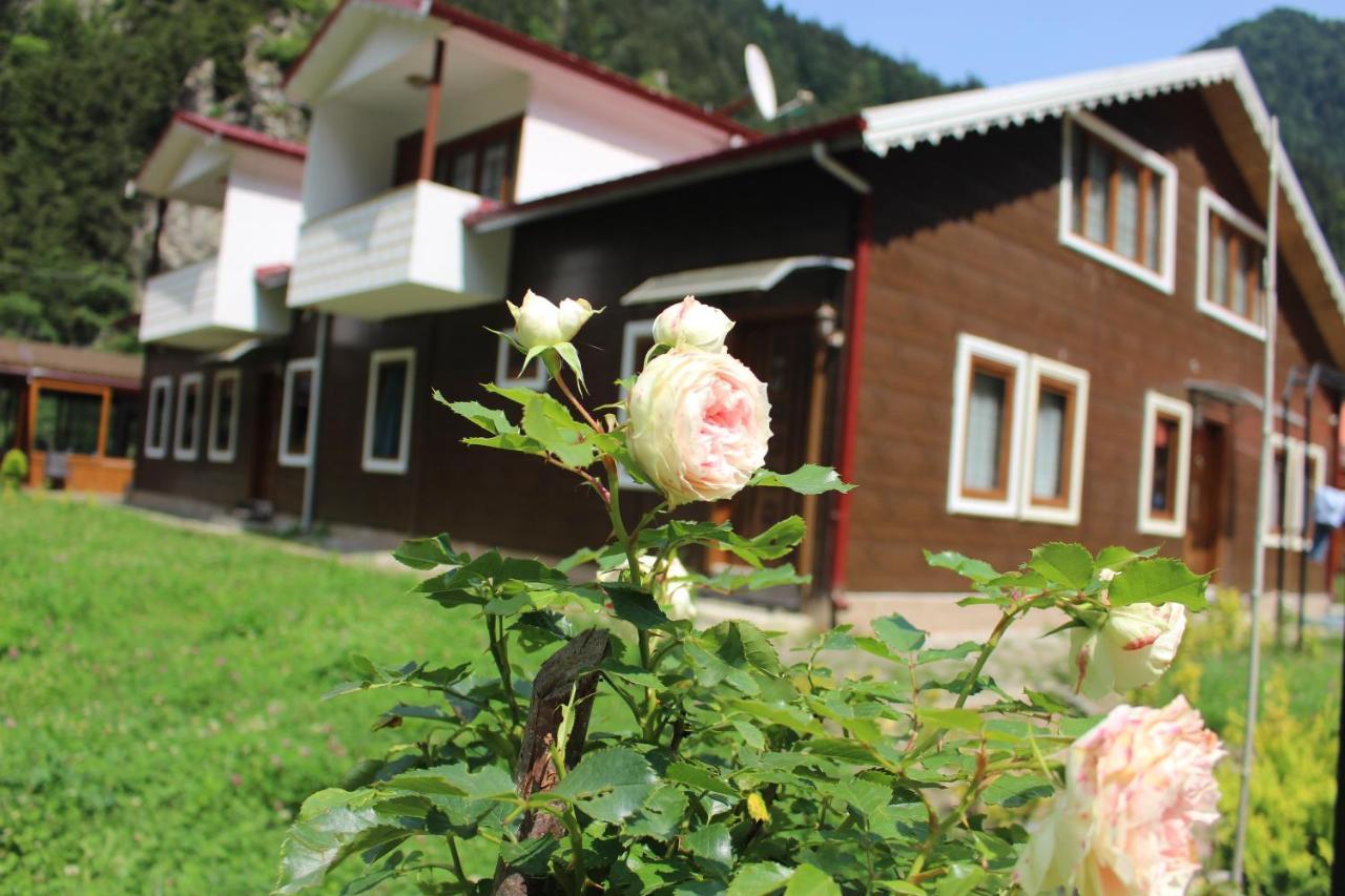 Uzungol Selale Otel Bungalow Екстер'єр фото