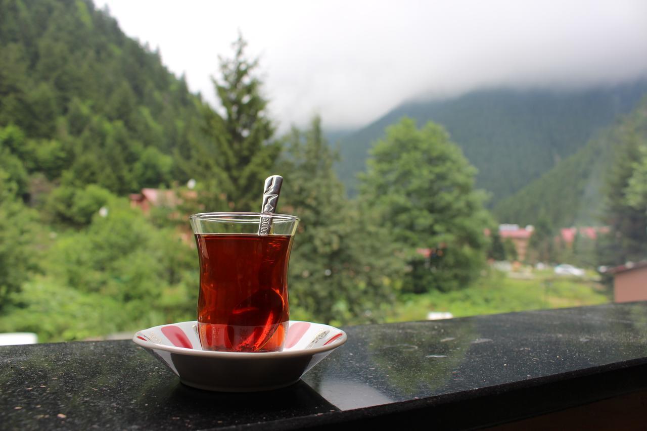 Uzungol Selale Otel Bungalow Екстер'єр фото