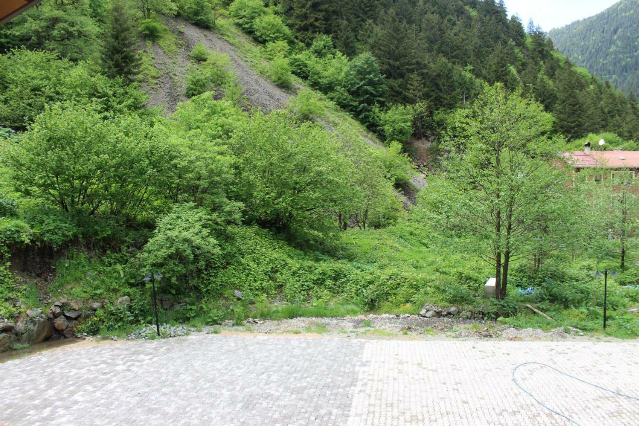 Uzungol Selale Otel Bungalow Екстер'єр фото